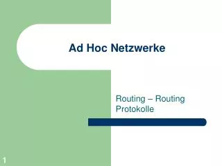 ad hoc netzwerke