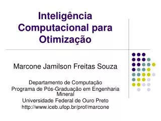 intelig ncia computacional para otimiza o