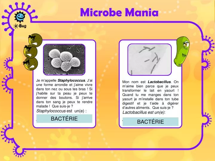 microbe mania