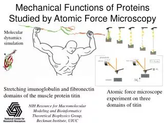 Mechanical Functions of Proteins Studied by Atomic Force Microscopy