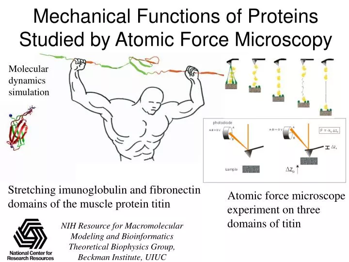 mechanical functions of proteins studied by atomic force microscopy