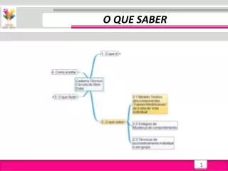 o que saber