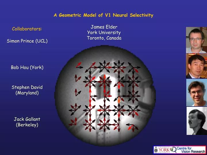 a geometric model of v1 neural selectivity