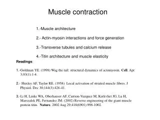 1.-Muscle architecture