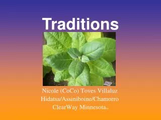 Nicole (CoCo) Toves Villaluz Hidatsa/Assiniboine/Chamorro ClearWay Minnesota SM