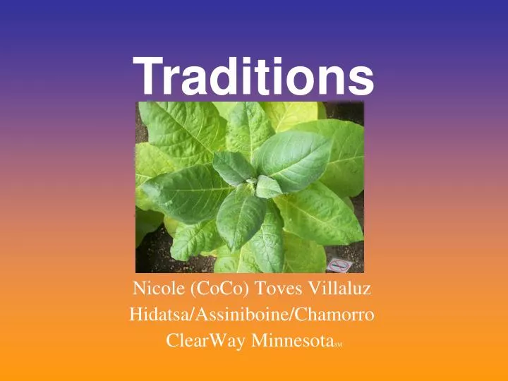 nicole coco toves villaluz hidatsa assiniboine chamorro clearway minnesota sm