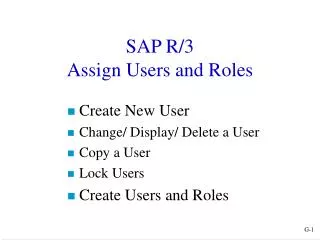 SAP R/3 Assign Users and Roles