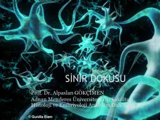 s n r dokusu