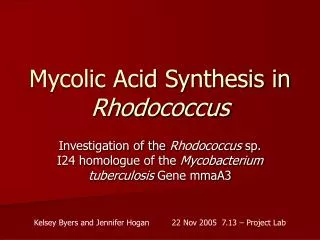 Mycolic Acid Synthesis in Rhodococcus