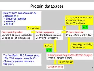 Genome information GenBank (Entrez nucleotide) Species-specific databases