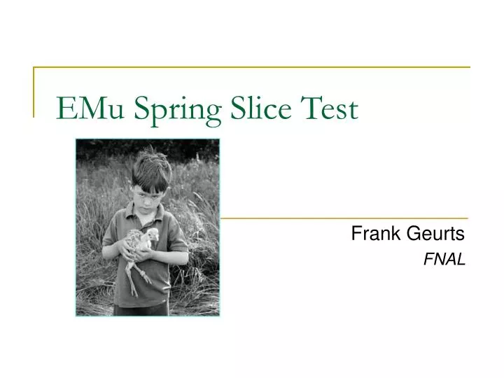 emu spring slice test