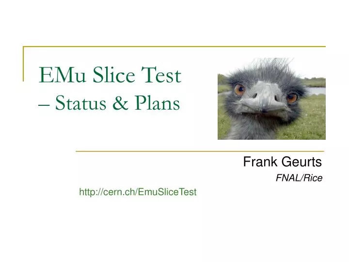 emu slice test status plans