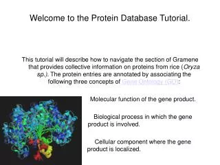 Welcome to the Protein Database Tutorial.