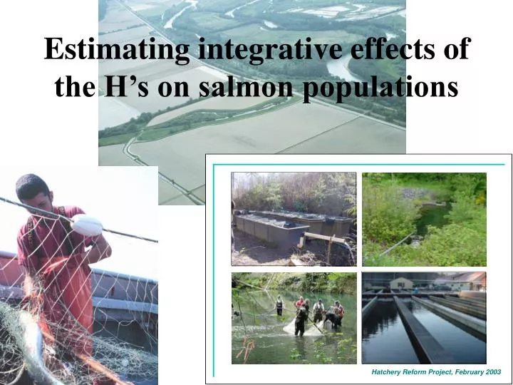 estimating integrative effects of the h s on salmon populations