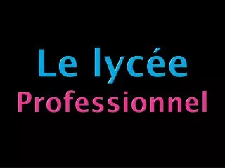 le lyc e professionnel