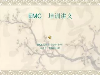 bacl trsz021107