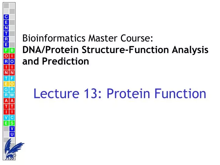 lecture 13 protein function