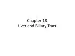 Chapter 18 Liver and Biliary Tract - slide 1