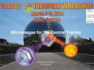 Micromegas for the Central Tracker