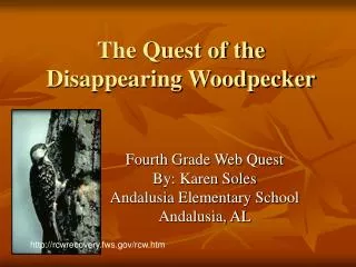 The Quest of the Disappearing Woodpecker