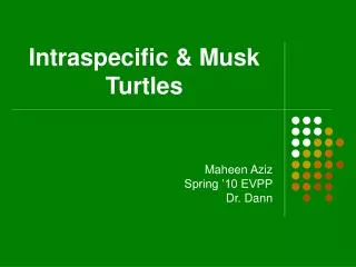 Intraspecific &amp; Musk Turtles