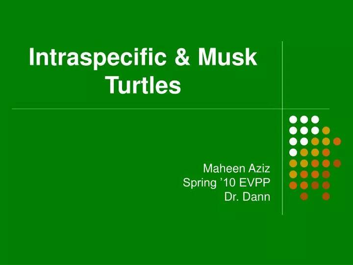 intraspecific musk turtles
