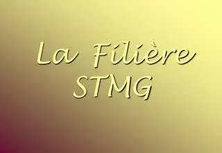 la fili re stmg