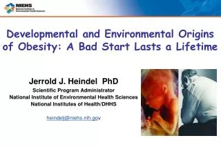 Jerrold J. Heindel PhD Scientific Program Administrator
