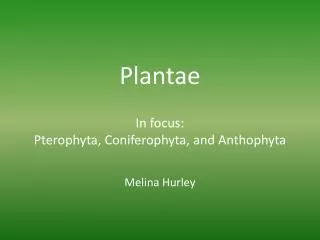 Plantae