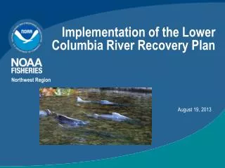 Implementation of the Lower Columbia River Recovery Plan