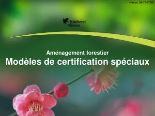 am nagement forestier mod les de certification sp ciaux
