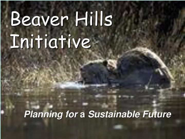 beaver hills initiative