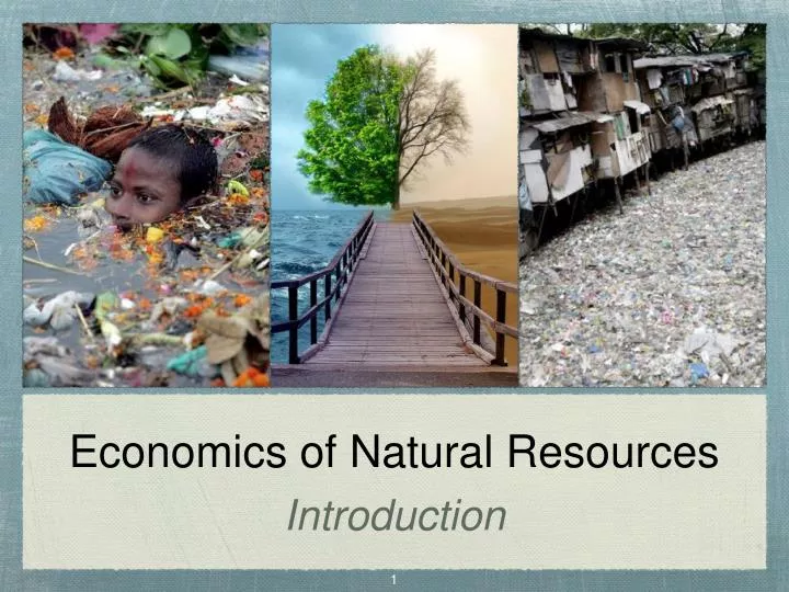 economics of natural resources