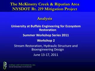 The McKinstry Creek &amp; Riparian Area NYSDOT Rt. 219 Mitigation Project Analysis