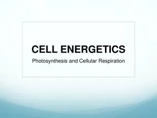 CELL ENERGETICS
