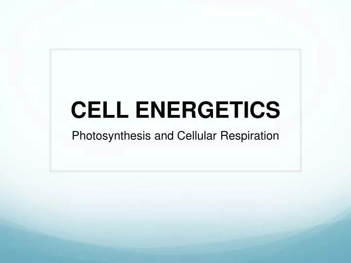 PPT - CELL ENERGETICS PowerPoint Presentation, free download - ID:4584544