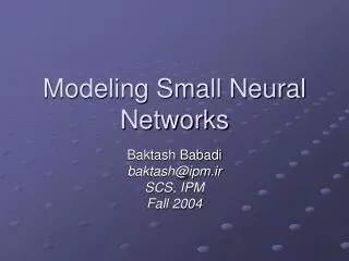 Modeling Small Neural Networks