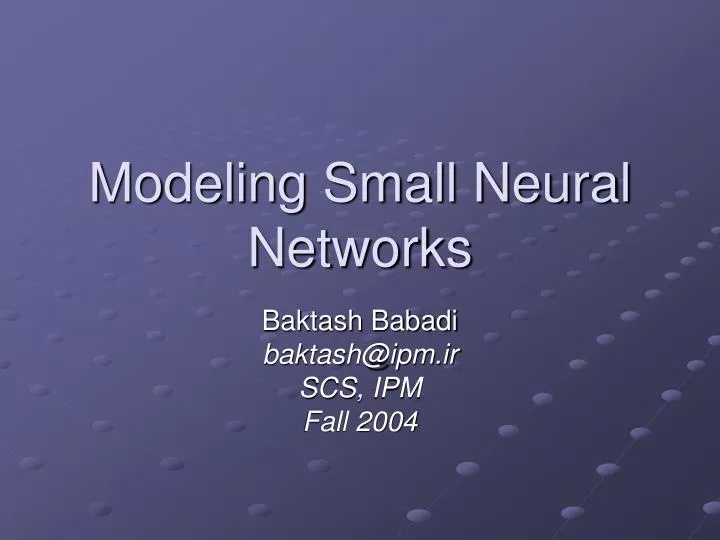 modeling small neural networks