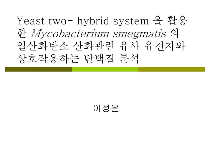 yeast two hybrid system mycobacterium smegmatis