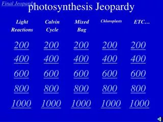 photosynthesis Jeopardy