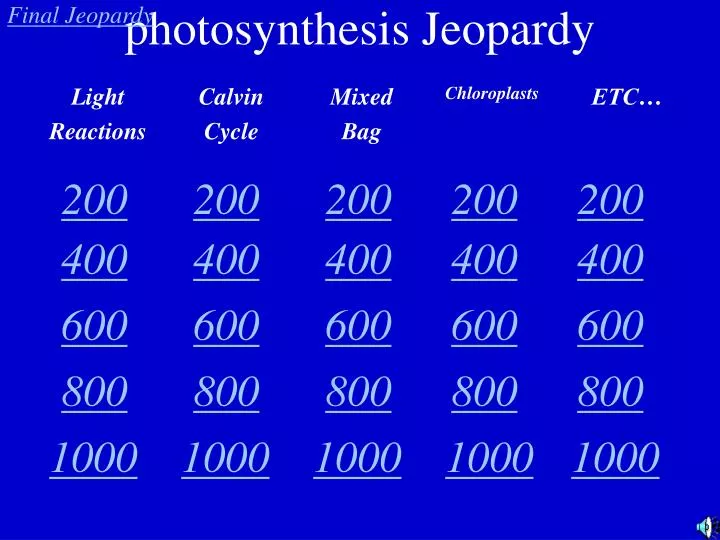 photosynthesis jeopardy