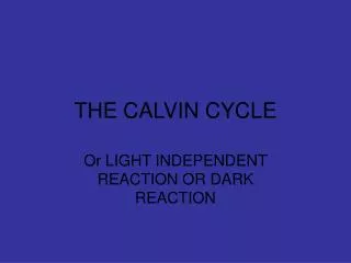 THE CALVIN CYCLE
