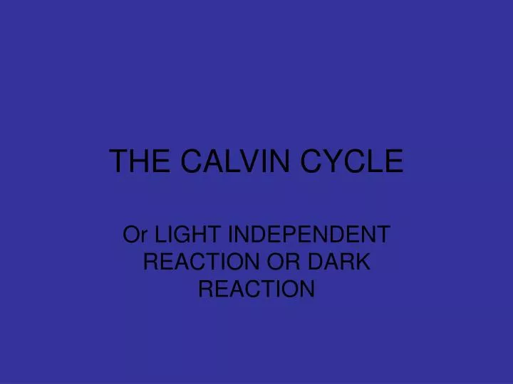 the calvin cycle