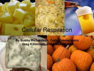 Cellular Respiration