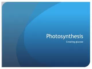 Photosynthesis