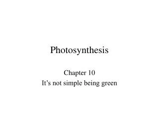 Photosynthesis