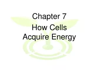 Chapter 7 How Cells Acquire Energy