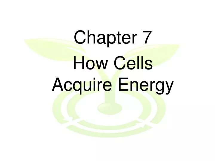 chapter 7 how cells acquire energy