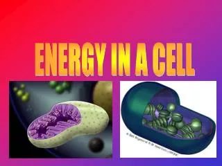 ENERGY IN A CELL