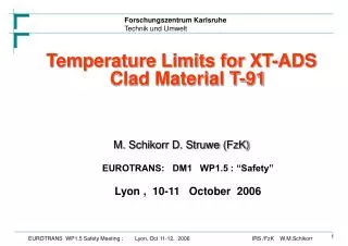 Temperature Limits for XT-ADS Clad Material T-91 M. Schikorr D. Struwe (FzK)